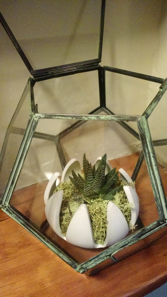 How To Decorate A Hallway Niche - Terrarium